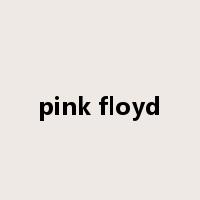 pink floyd是什么意思
