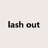 lash out是什么意思