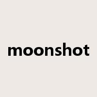 moonshot是什么意思