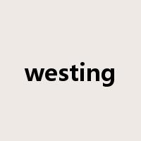 westing是什么意思
