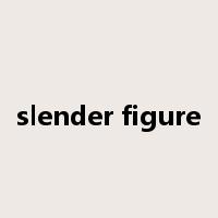 slender figure是什么意思