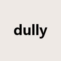 dully是什么意思