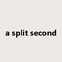 a split second是什么意思