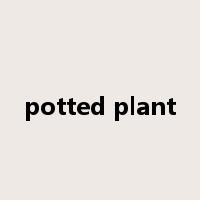 potted plant是什么意思