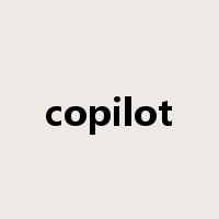 copilot是什么意思