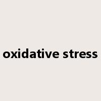 oxidative stress是什么意思