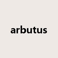 arbutus是什么意思