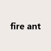 fire ant是什么意思