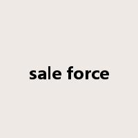 sale force是什么意思