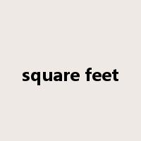 square feet是什么意思