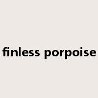 finless porpoise是什么意思