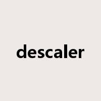 descaler是什么意思