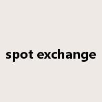 spot exchange是什么意思