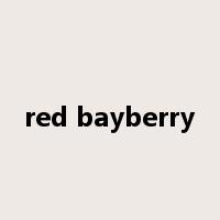 red bayberry是什么意思
