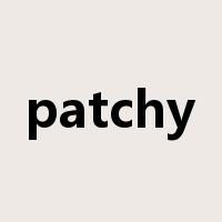 patchy是什么意思
