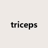 triceps是什么意思