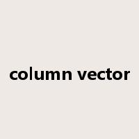 column vector是什么意思