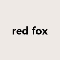 red fox是什么意思