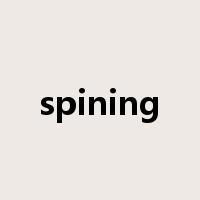 spining是什么意思