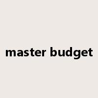 master budget是什么意思