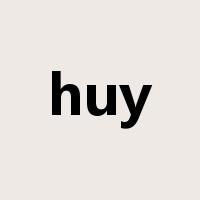 huy是什么意思