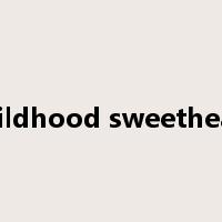 childhood sweetheart是什么意思