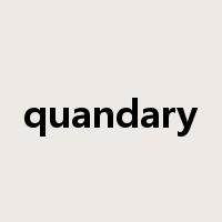 quandary是什么意思