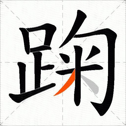 踘