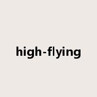 high-flying是什么意思