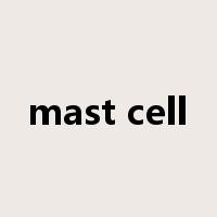 mast cell是什么意思