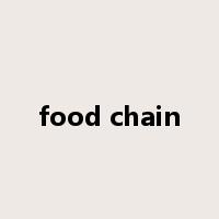 food chain是什么意思