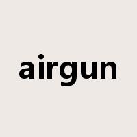airgun是什么意思