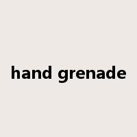hand grenade是什么意思