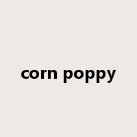 corn poppy是什么意思