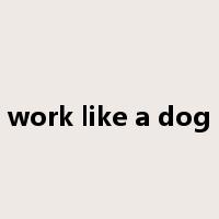 work like a dog是什么意思