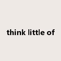 think little of是什么意思
