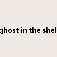 ghost in the shell是什么意思