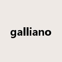 galliano是什么意思