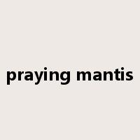 praying mantis是什么意思