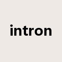 intron是什么意思