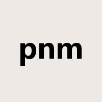 pnm是什么意思