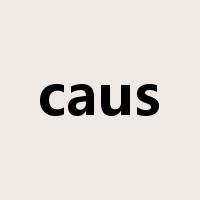 caus是什么意思