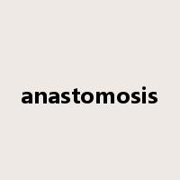 anastomosis是什么意思