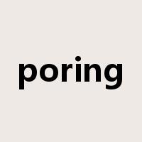 poring是什么意思