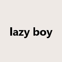 lazy boy是什么意思