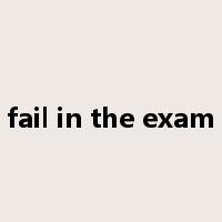 fail in the exam是什么意思