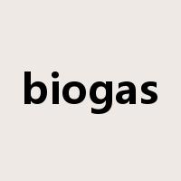 biogas是什么意思