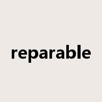 reparable是什么意思