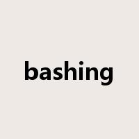 bashing是什么意思