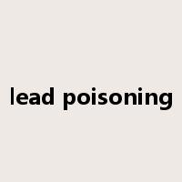 lead poisoning是什么意思